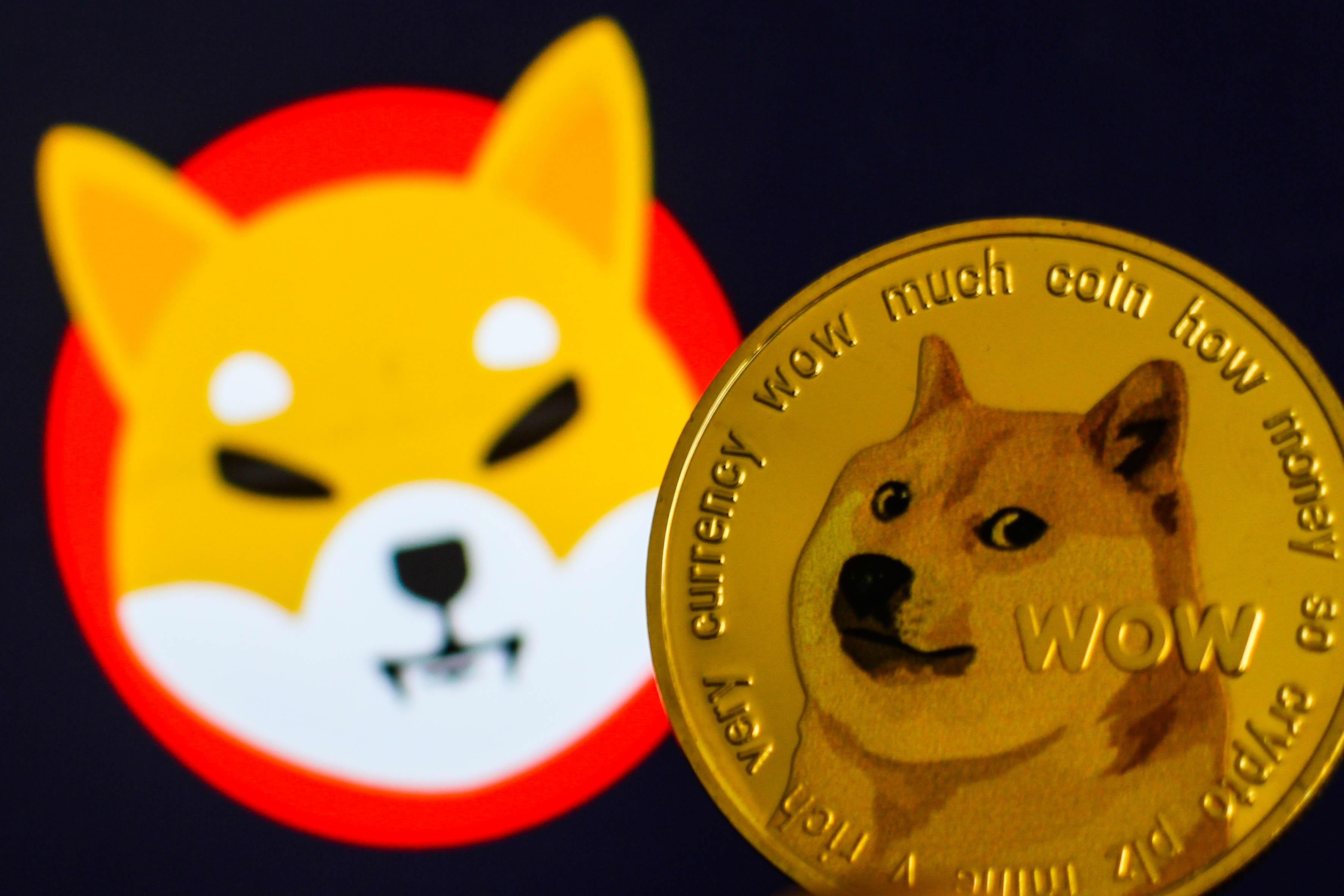پذیرش Shiba Inu و Dogecoin توسط شرکت لجستیک مستقر در ایالات متحده