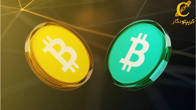 تفاوت بیت‌ کوین و بیت‌ کوین کش چیست؟