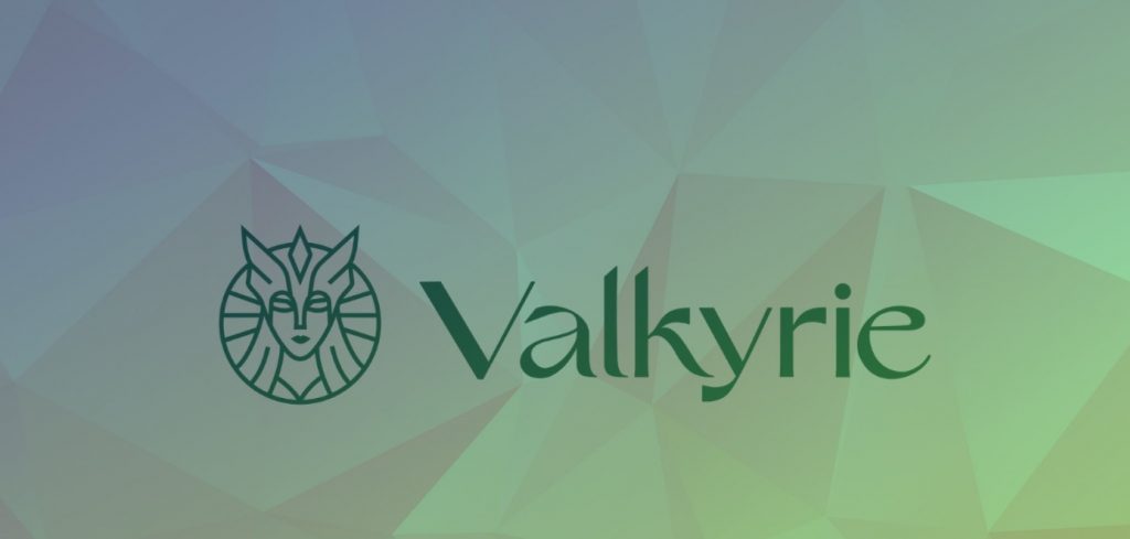 راه‌اندازی یک تراست عجیب و غریب از Valkyrie Investments