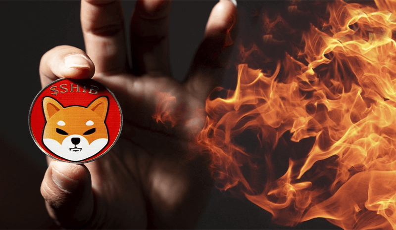 بیش از 20 میلیارد ارز شیبا سوزانده شد!
