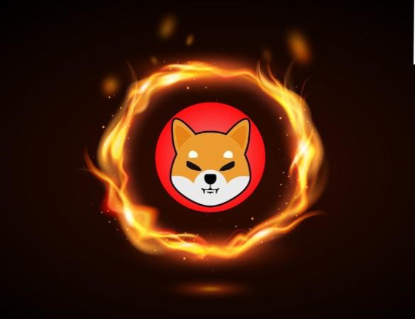 509 میلیون شیبا سوخت