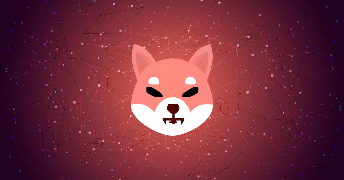 افزایش تعداد دارندگان شیبا اینو