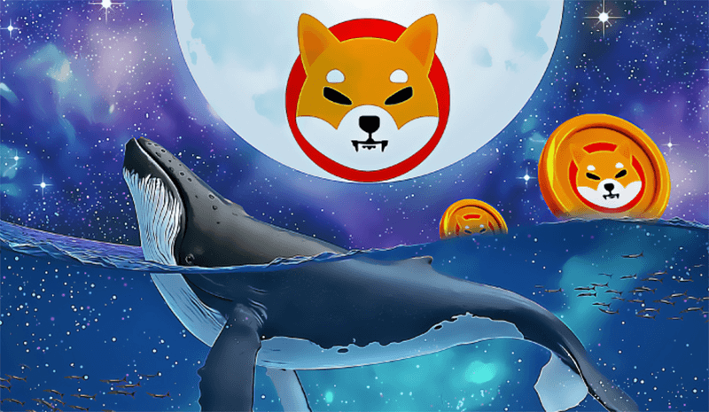 خرید ۵۶ میلیارد واحد شیبا اینو توسط یک نهنگ