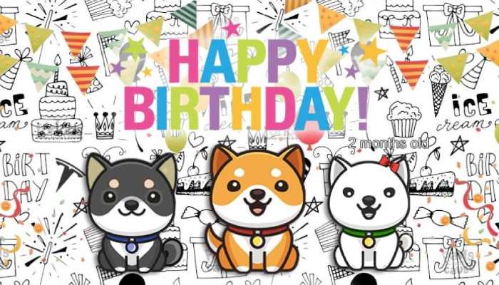 تولدت مبارک، BabyDoge!