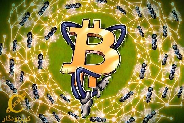 افزایش تعداد wholecoiners شبکه بیت‌کوین