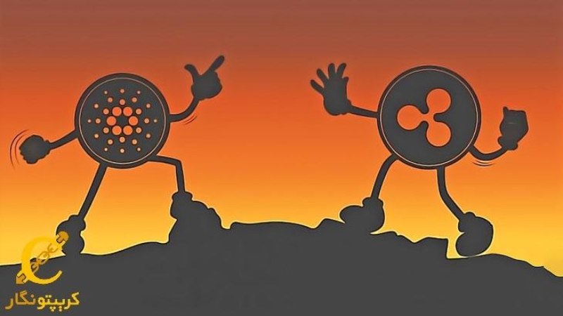 نبرد داغ ریپل و کاردانو!