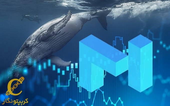 خریداری 15 میلیون توکن متیک توسط یک نهنگ اتریوم