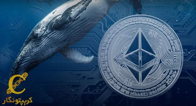 اضافه شدن 131 نهنگ جدید به شبکه اتریوم