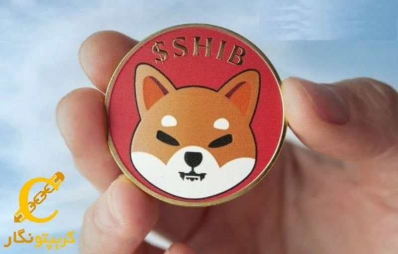افزایش علاقه به شیبا اینو!
