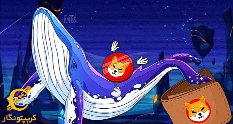 تعداد دارندگان شیبا اینو به بالاترین حد رسید!