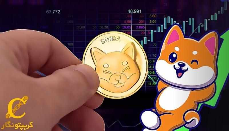 افزایش تعداد دارندگان بلند مدت شیبا اینو!