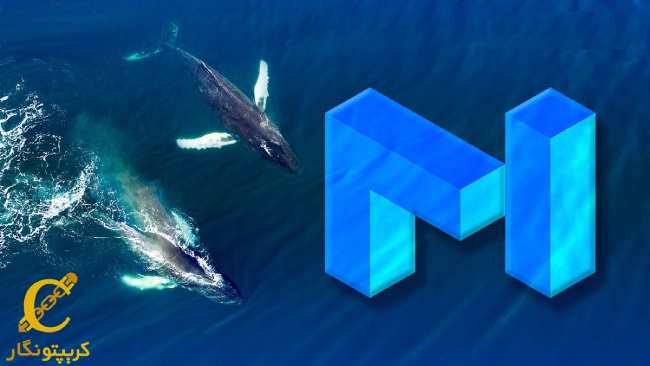 خرید 2.5 میلیون دلار توکن MATIC توسط نهنگ‌ها