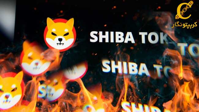 افزایش 130 درصدی نرخ توکن‌سوزی شیبا اینو