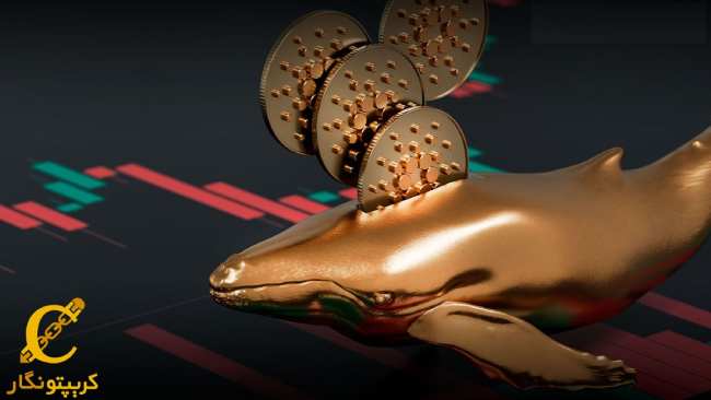 ذخیره 138 میلیون دلار ADA توسط نهنگ‌های کاردانو