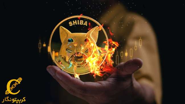 افزایش 240 درصدی نرخ توکن‌سوزی Shiba Inu