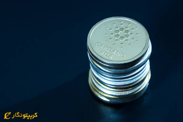 استفاده از کاردانو