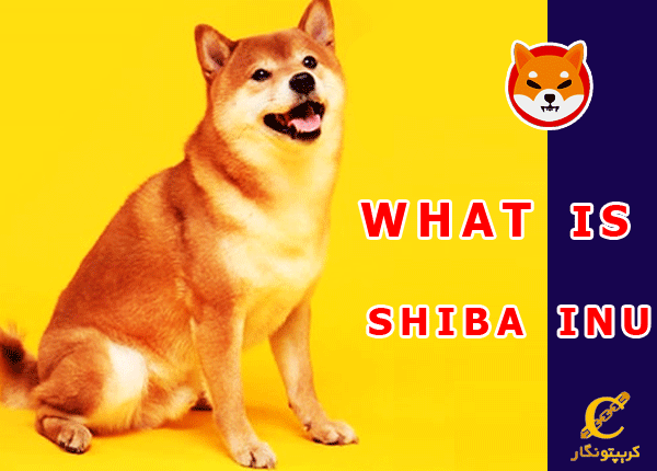 پروژه شیبا اینو یک پروژه قانونی‌ است یا یک سرمایه‌گذاری مشکوک؟!