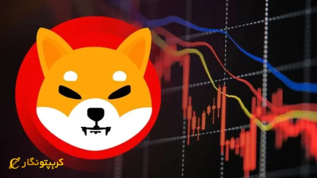 90 درصد دارندگان شیبا اینو در ضرر هستند