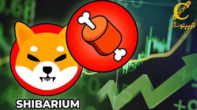 رکورد جدید استیک توکن بون شیبا(BONE)، شیبا اینو به رویای خود نزدیک تر شد