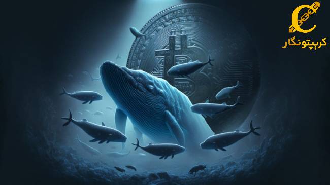 شروع جا‌به‌جایی های بزرگ توسط نهنگ‌ها، علت چیست؟