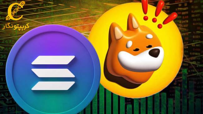 میم کوین بانک، بر بستر بلاکچین سولانا بالاتر از فلوکی!