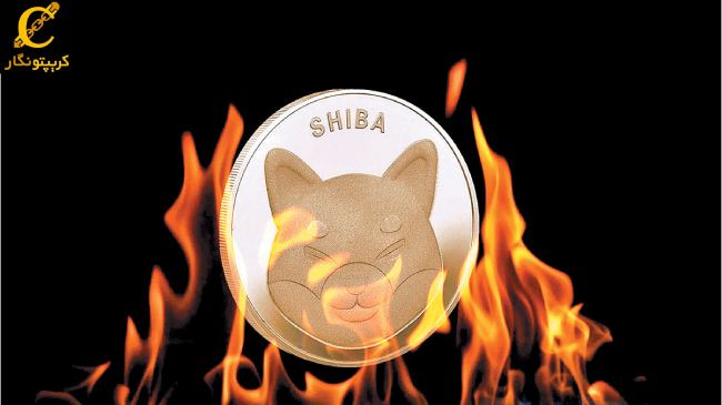قیمت شیبا اینو 60 درصد افزایش یافت