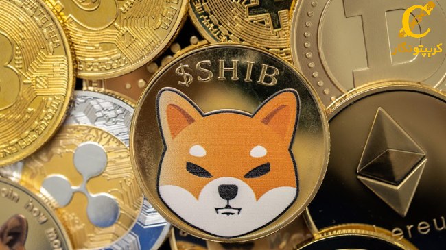 انفجار ۲۰۰۰ درصدی شیبا اینو با پذیرش بازار