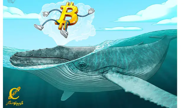ذخیره نهنگ بیت کوین نشان می دهد که صعود قبل از هاوینگ ادامه خواهد داشت