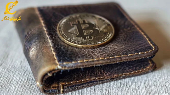 جهش ۲۰‌درصدی کیف پول بیت کوین