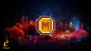 معایب سرمایه_گذاری در میم کوین_ها