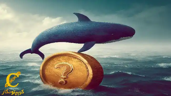 نهنگ بزرگ سه آلت کوین خود را فروخت