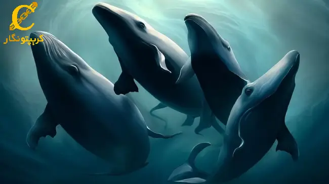 ذخیره مقدار قابل توجهی ارز PEPE توسط چهار نهنگ