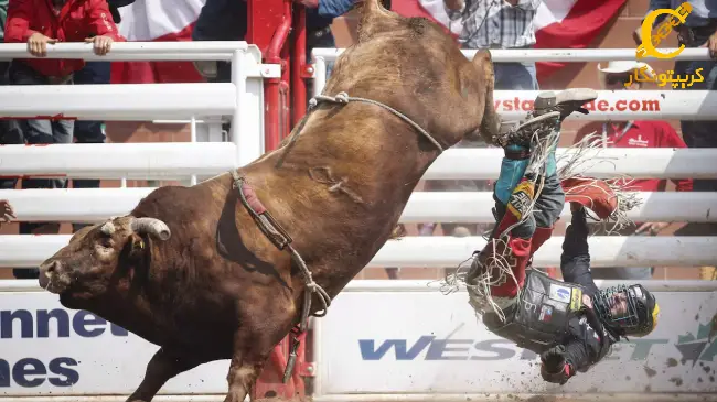 حرکت صعودی پولکادات