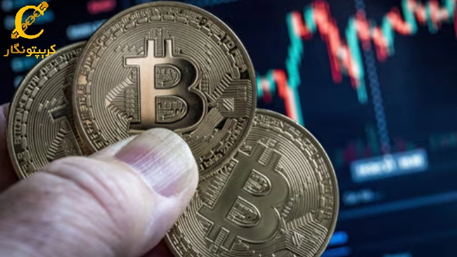 بیت کوین تحت فشار نهنگ ها، هلدرهای بلندمدت و ماینرها