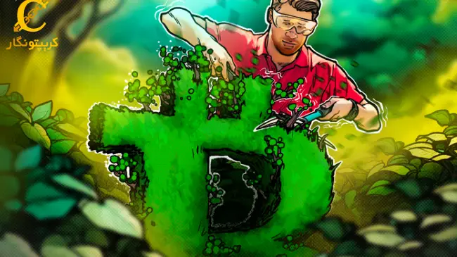 بیت کوین دوباره سود می‌دهد