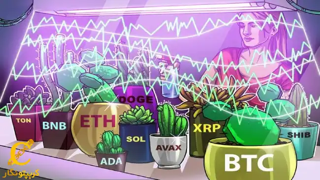 تحلیل BTC و آلت کوین های ETH، BNB، SOL، XRP، DOGE، TON، ADA، AVAX، SHIB