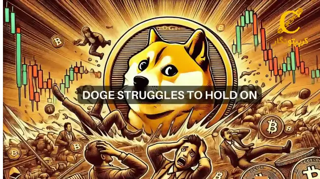 افزایش لیکوییدهای دوج کوین