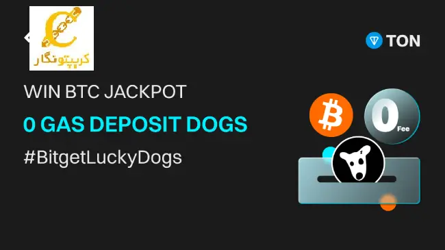 کمپین Bitget x DOGS