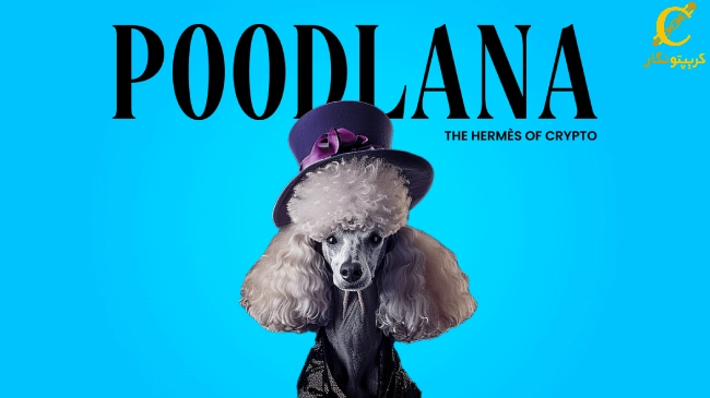 بررسی عملکرد توکن Poodlana ، WIF و BONK