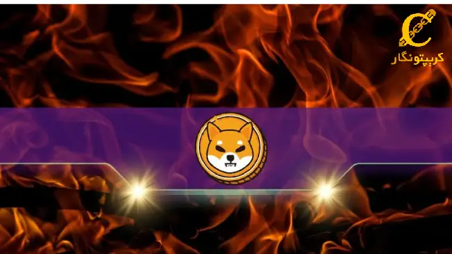 افزایش نرخ توکن‌ سوزی شیبا اینو