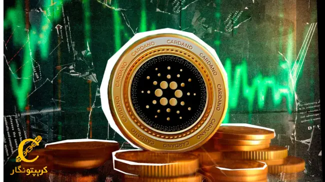 افزایش ۸ درصدی کاردانو