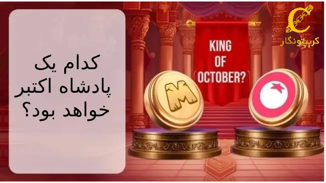  ToMarket یا MemeFi کدام یک پادشاه اکتبر خواهد بود؟