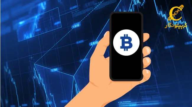 افزایش شدید هولدر های بیت کوین