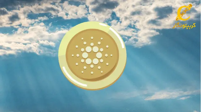 کاردانو در اوج با صعود ۲۵ درصدی