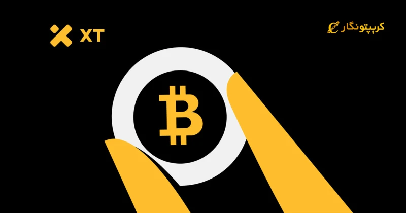 اثبات ذخایر (PoR) و درخت مرکل (Merkle Tree): استاندارد جدید امنیت در صرافی‌های ارز دیجیتال