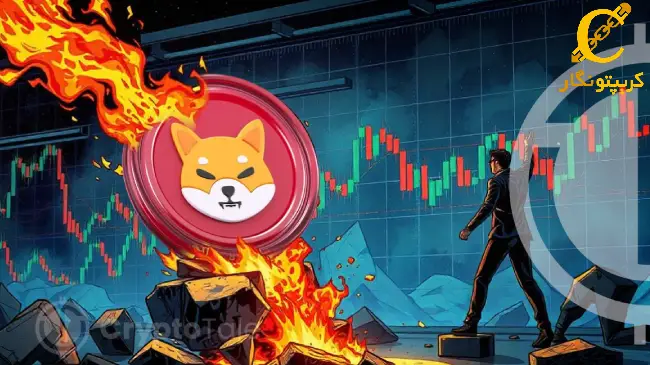 افزایش 104 درصدی نرخ توکن سوزی شیبا اینو!