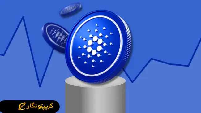 افزایش چشمگیر قیمت کاردانو!