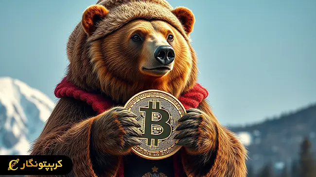 ذخیره بیت کوین یک شرط‌بندی پرخطر است!