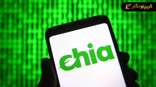 سیگنال رایگان ارز دیجیتال XCH (فروردین 1404)