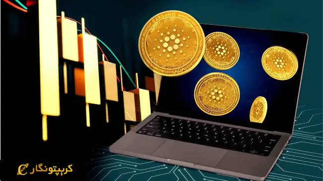 کاردانو در اوج قیمت و اعتماد!